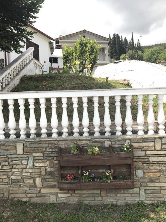 Villa Paradisos Likostomon Экстерьер фото